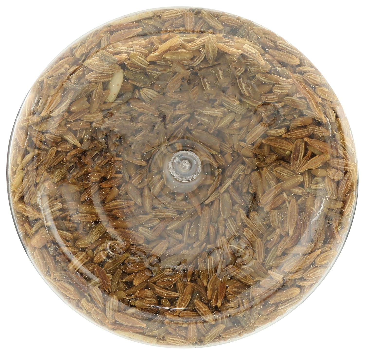 image:image365 by Whole Foods Market Cumin Seed 148 oz148 Ounce Pack of 1