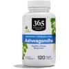 365 by Whole Foods Market, Ashwagandha, 120 CT