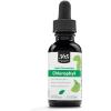 365 by Whole Foods Market, Liquid Concentrate Chlorophyll, Peppermint Flavor, 1 Fl Oz(1 Fl Oz (Pack of 1))
