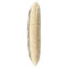 365 by Whole Foods Market, Enriched Calrose Medium Grain Rice, 32 Ounce(2 Pound (Pack of 1))