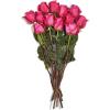 Floral Rose 12 Stems 40cm, 1 EA