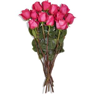 Floral Rose 12 Stems 40cm, 1 EA