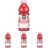 365 by Whole Foods Market, Nutrient Enhanced Water, Cranberry + Antioxidants, 20 Fl Oz(20 Fl Oz (Pack of 4))