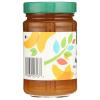 365 by Whole Foods Market, Organic Apricot Fruit Spread, 17 Ounce
