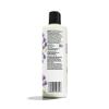 365 by Whole Foods Market, Moisture & Shine Conditioner with Hemp Seed & Argan Oil, Lavender Scent, 16 Fl Oz