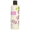 365 by Whole Foods Market, Moisture & Shine Conditioner with Hemp Seed & Argan Oil, Lavender Scent, 16 Fl Oz