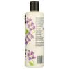 365 by Whole Foods Market, Moisture & Shine Conditioner with Hemp Seed & Argan Oil, Lavender Scent, 16 Fl Oz