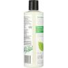 365 by Whole Foods Market, Volume & Thickness Conditioner with Rice Protein & Collagen, Rosemary Mint Scent, 16 Fl Oz(16 Fl Oz (Pack of 1))