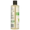 365 by Whole Foods Market, Volume & Thickness Shampoo with Rice Protein & Collagen, Rosemary Mint Scent, 16 Fl Oz