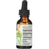 365 by Whole Foods Market Turmeric Liquid Extract, 1 FZ