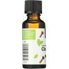 365 by Whole Foods Market, 100% Essential Oil Clove Bud, 1 Ounce