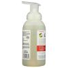 365 by Whole Foods Market, Kids’ Foaming Hand Soap, Awesome Apple, 12 Fl Oz(12 Fl Oz (Pack of 1))