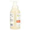 365 by Whole Foods Market, Kids’ Foaming Hand Soap, Awesome Apple, 12 Fl Oz(12 Fl Oz (Pack of 2))