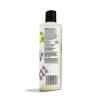 365 by Whole Foods Market, Moisture & Shine Shampoo with Hemp Seed & Argan Oil, Lavender Scent, 16 Fl Oz
