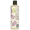 365 by Whole Foods Market, Moisture & Shine Shampoo with Hemp Seed & Argan Oil, Lavender Scent, 16 Fl Oz