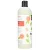 365 by Whole Foods Market, Foaming Shower Gel, Rose Petal, 16 Fl Oz(Rose)